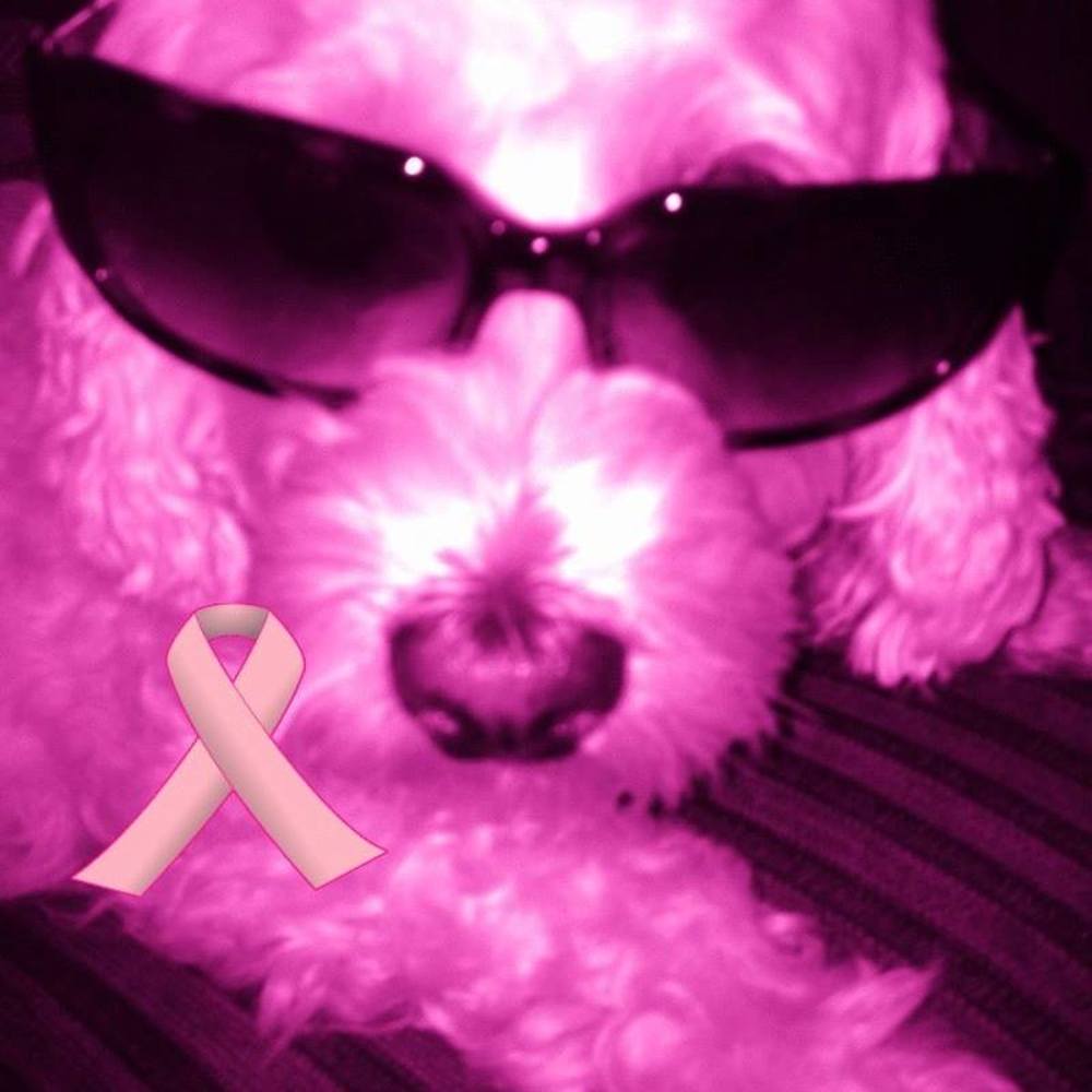 Meet your Posher, Barb